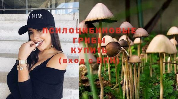 не бодяженный Бородино