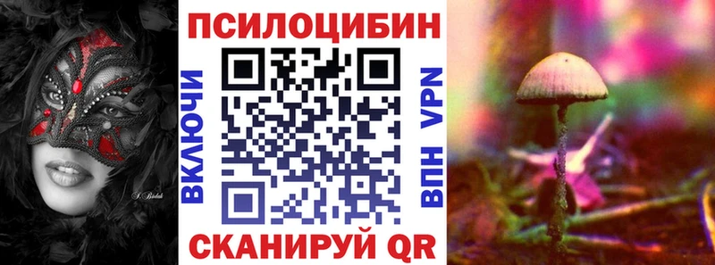 MEGA tor  наркошоп  это формула  Галлюциногенные грибы Psilocybine cubensis  Железногорск-Илимский 
